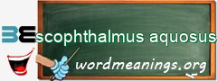 WordMeaning blackboard for scophthalmus aquosus